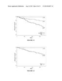 REAGENTS AND METHODS FOR USE IN CANCER DIAGNOSIS, CLASSIFICATION AND     THERAPY diagram and image