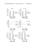 TREATMENT OF HEART FAILURE diagram and image