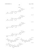 NOVEL 3-HYDROXYISOTHIAZOLE 1-OXIDE DERIVATIVES diagram and image