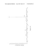 Polypeptide TF1 for Inhibiting Type 2 Shiga Toxin Activity, Encoding Gene     for Same and Use Thereof diagram and image