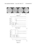 Polypeptide TF1 for Inhibiting Type 2 Shiga Toxin Activity, Encoding Gene     for Same and Use Thereof diagram and image