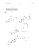 C-3 CYCLOALKENYL TRITERPENOIDS WITH HIV MATURATION INHIBITORY ACTIVITY diagram and image