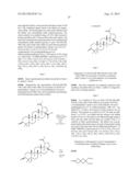 C-3 CYCLOALKENYL TRITERPENOIDS WITH HIV MATURATION INHIBITORY ACTIVITY diagram and image