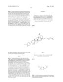 C-3 CYCLOALKENYL TRITERPENOIDS WITH HIV MATURATION INHIBITORY ACTIVITY diagram and image