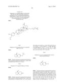 C-3 CYCLOALKENYL TRITERPENOIDS WITH HIV MATURATION INHIBITORY ACTIVITY diagram and image