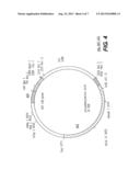 RECOMBINANT VIRUSES AND THEIR USE FOR TREATMENT OF ATHEROSCLEROSIS AND     OTHER FORMS OF CORONARY ARTERY DISEASE AND METHOD, REAGENT, AND KIT FOR     EVALUATING SUSCEPTIBILITY TO SAME diagram and image