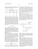 Methods and Compositions for Improved F-18 Labeling of Proteins, Peptides     and Other Molecules diagram and image