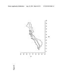 CONJUGATES COMPRISING HYDROXYALKYL STARCH AND A CYTOTOXIC AGENT AND     PROCESS FOR THEIR PREPARATION diagram and image