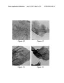 PRODUCTION OF GRAPHENE AND NANOPARTICLE CATALYSTS SUPPORTED ON GRAPHENE     USING MICROWAVE RADIATION diagram and image