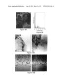 PRODUCTION OF GRAPHENE AND NANOPARTICLE CATALYSTS SUPPORTED ON GRAPHENE     USING MICROWAVE RADIATION diagram and image