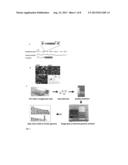 ENERGY AWARE SENSOR MANAGEMENT FOR WEARABLE MEDICAL SYSTEMS OPTIMIZATION diagram and image