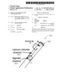 DRUG ELUTING HYDROGELS FOR CATHETER DELIVERY diagram and image