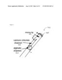 DRUG ELUTING HYDROGELS FOR CATHETER DELIVERY diagram and image