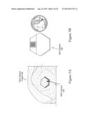 SENSORY-EVOKED POTENTIAL (SEP) CLASSIFICATION/DETECTION IN THE TIME DOMAIN diagram and image