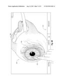 INTERACTIVE AND EDUCATIONAL VISION INTERFACES diagram and image