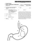 ENDOSCOPIC TOOLS FOR THE REMOVAL OF BALLOON-LIKE INTRAGASTRIC DEVICES diagram and image