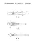 ENDOSCOPIC TOOLS FOR THE REMOVAL OF BALLOON-LIKE INTRAGASTRIC DEVICES diagram and image