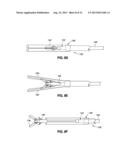 ENDOSCOPIC TOOLS FOR THE REMOVAL OF BALLOON-LIKE INTRAGASTRIC DEVICES diagram and image