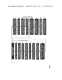 HIGH EFFICIENCY SOLAR CELL STRUCTURES AND MANUFACTURING METHODS diagram and image