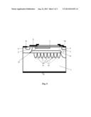 HIGH VOLTAGE LDMOS DEVICE diagram and image