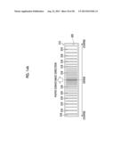 PAPER CONVEYANCE APPARATUS AND INK JET RECORDING APPARATUS diagram and image