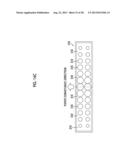 PAPER CONVEYANCE APPARATUS AND INK JET RECORDING APPARATUS diagram and image