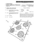 HYBRID CANOPY LIGHTING FOR OPTIMUM LIGHT BEAM SHAPING diagram and image