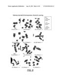 Centromere Detector and Method for Determining Radiation Exposure From     Chromosome Abnormalities diagram and image