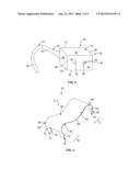 OPTICAL ASSEMBLY WITH FERRULE AND FRAME diagram and image