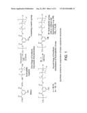 AMPHIPHILIC POLYMERS AND METHODS OF USE THEREOF diagram and image