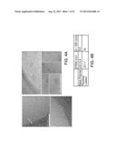 AMPHIPHILIC POLYMERS AND METHODS OF USE THEREOF diagram and image