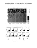 AMPHIPHILIC POLYMERS AND METHODS OF USE THEREOF diagram and image