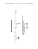 AMPHIPHILIC POLYMERS AND METHODS OF USE THEREOF diagram and image