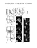 Methods for Generating Cardiomyocytes diagram and image