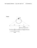 PRODUCTION OF CLOSED LINEAR DNA USING A PALINDROMIC SEQUENCE diagram and image