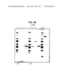 IMMUNOGENIC PROTEINS AND COMPOSITIONS diagram and image