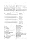 IMMUNOGENIC PROTEINS AND COMPOSITIONS diagram and image