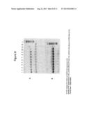 COMPOSITIONS AND METHODS FOR PRODUCING DENDRITIC CELLS diagram and image