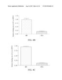 POLYPEPTIDE FOR INHIBITING METASTASIS, USES THEREOF, AND PHARMACEUTICAL     COMPOSITIONS CONTAINING THE SAME diagram and image