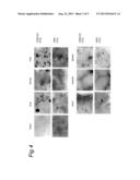 TARGETED INTRACELLULAR DELIVERY OF ANTIVIRAL AGENTS diagram and image
