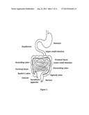 Nanoparticles of Nutritional and Pharmaceutical Compounds diagram and image