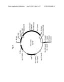 SOY PROTEIN PRODUCTS HAVING ALTERED CHARACTERISTICS diagram and image