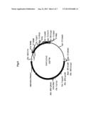 SOY PROTEIN PRODUCTS HAVING ALTERED CHARACTERISTICS diagram and image