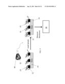 ELECTRICALLY CONDUCTIVE POLYMER NANOWIRES WITH INCORPORATED VIRUSES diagram and image