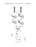 Methods and Systems for Detection of Microorganisms diagram and image