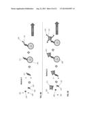 Methods and Systems for Detection of Microorganisms diagram and image