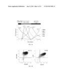 GENERATION OF ANTERIOR FOREGUT ENDODERM FROM PLURIPOTENT CELLS diagram and image