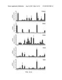 GENERATION OF ANTERIOR FOREGUT ENDODERM FROM PLURIPOTENT CELLS diagram and image