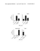 GENERATION OF ANTERIOR FOREGUT ENDODERM FROM PLURIPOTENT CELLS diagram and image