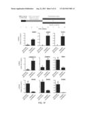 GENERATION OF ANTERIOR FOREGUT ENDODERM FROM PLURIPOTENT CELLS diagram and image